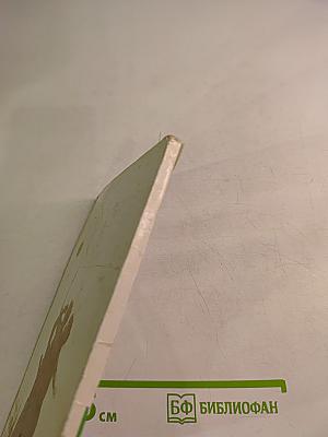 В воротах «Зенита»