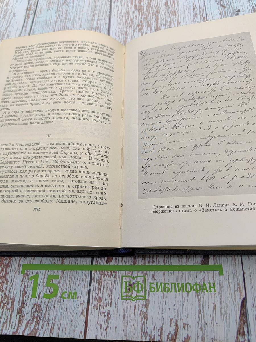 Собрание сочинений. Том 23: Статьи 1895–1906