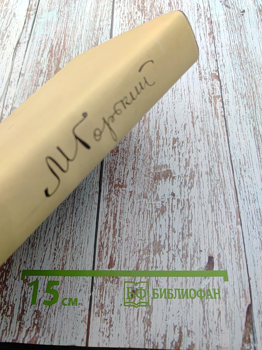 Собрание сочинений. Том 23: Статьи 1895–1906