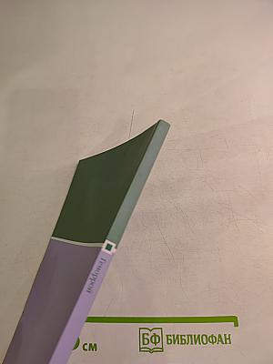 Большая медицинская энциклопедия. Геморрой. Лучшие методы лечения и профилактики