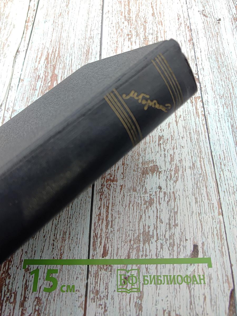 Собрание сочинений. Том 24: Статьи, речи, приветствия. 1907-1928