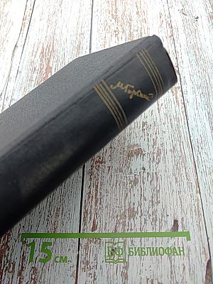 Собрание сочинений. Том 24: Статьи, речи, приветствия. 1907-1928