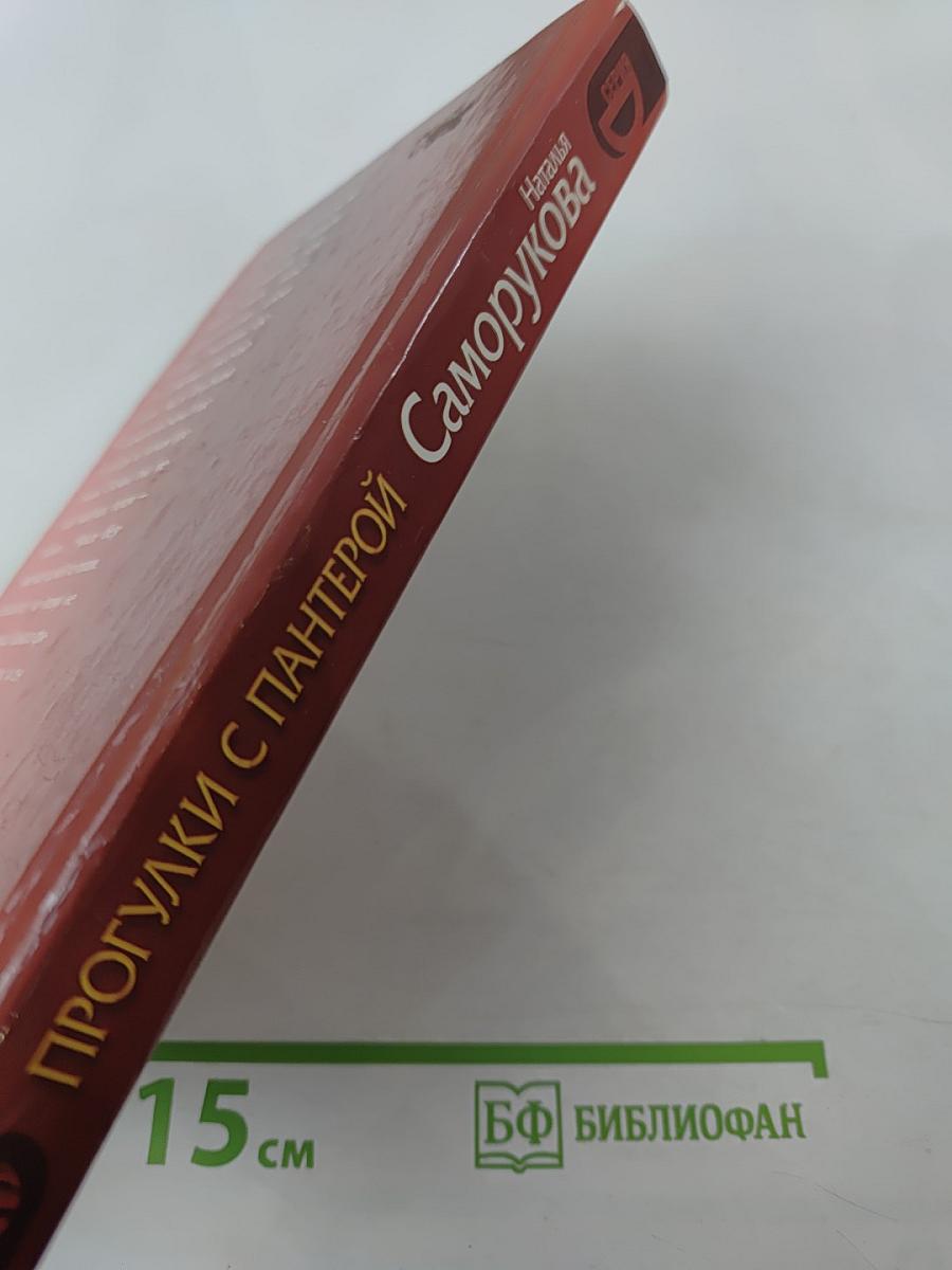 Прогулки с пантерой