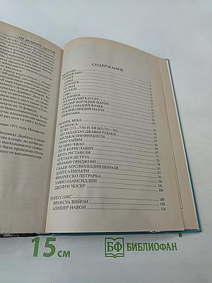 100 Великих Поэтов