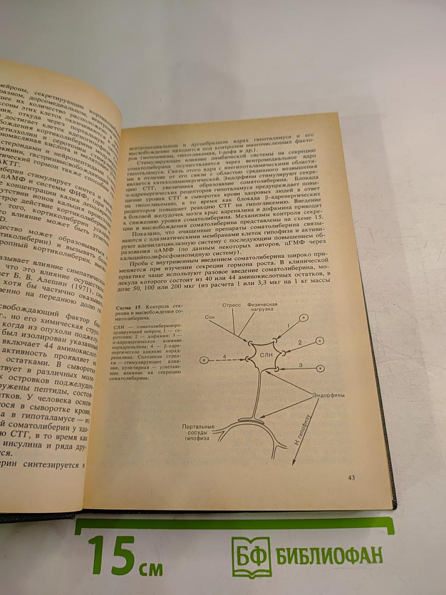 Эндокринология