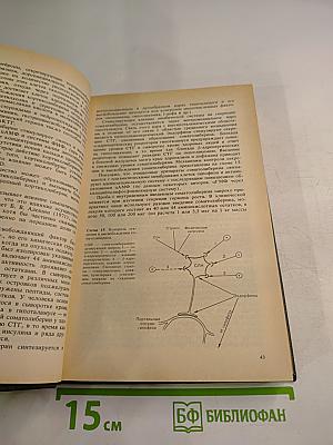 Эндокринология