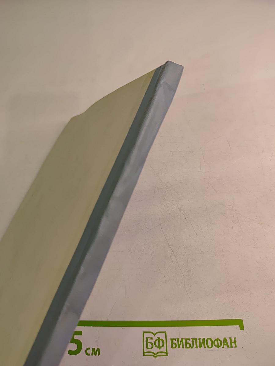 Страны и вооруженные силы НАТО на Атлантике (Политическая характеристика)