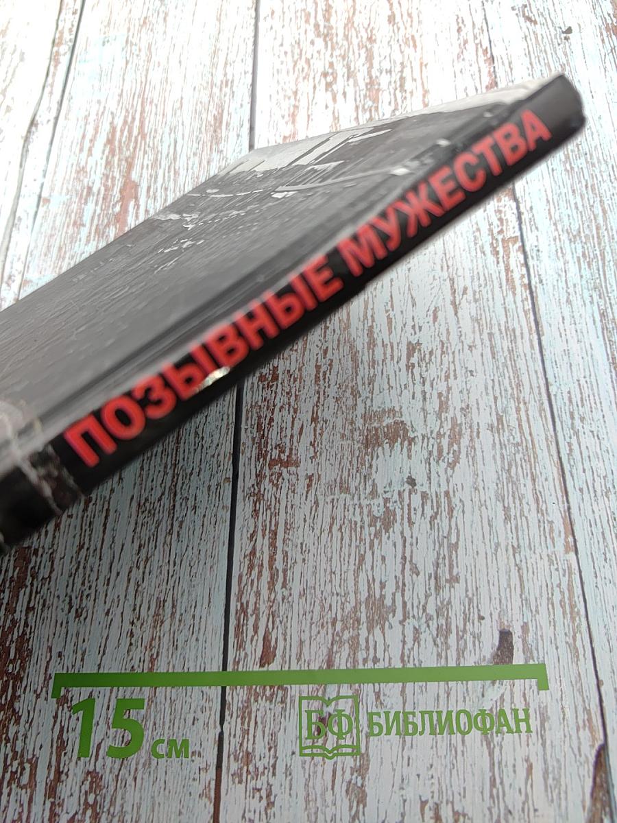 Позывные мужества. Опыт Ленинградского блокадного радио