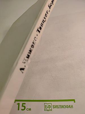 Танцует «Березка»