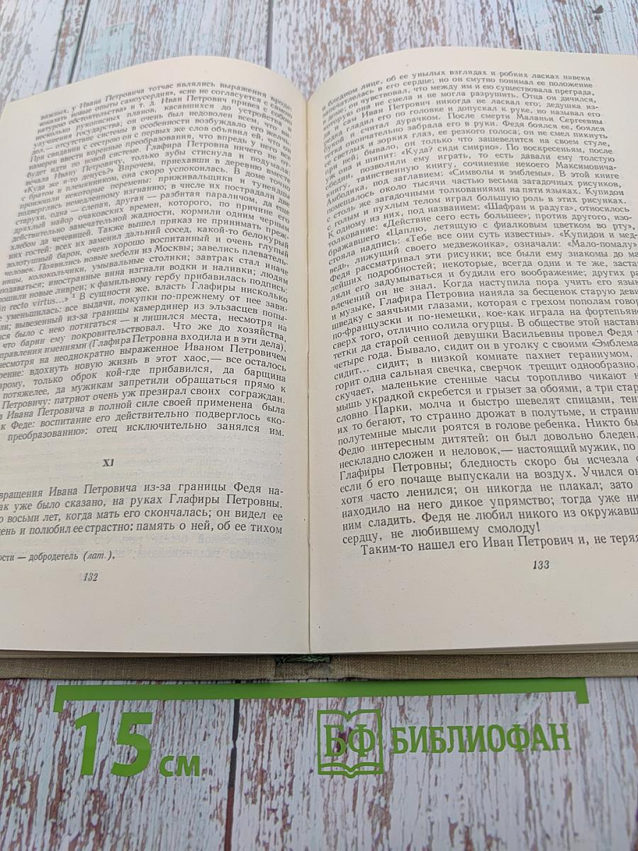 Собрание сочинений. Том второй: Рудин. Дворянское гнездо