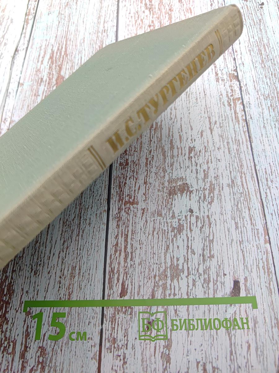 Собрание сочинений. Том второй: Рудин. Дворянское гнездо