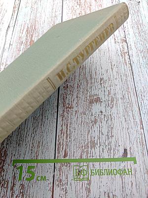 Собрание сочинений. Том второй: Рудин. Дворянское гнездо