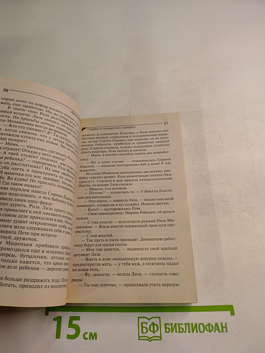 Главбух и полцарства в придачу