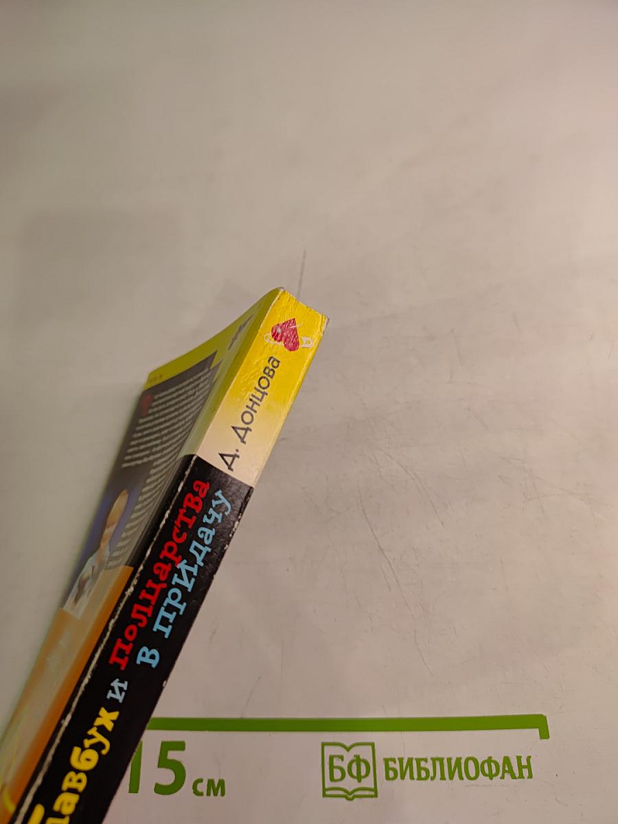 Главбух и полцарства в придачу