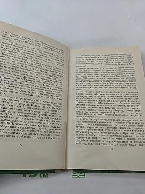 Мыслящий пролетариат Писарева