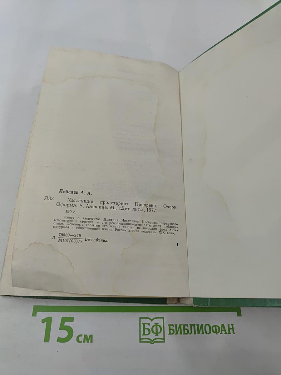 Мыслящий пролетариат Писарева