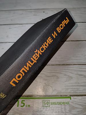 Полицейские и воры