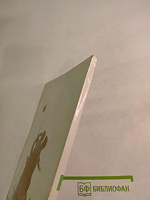 В воротах «ЗЕНИТА»