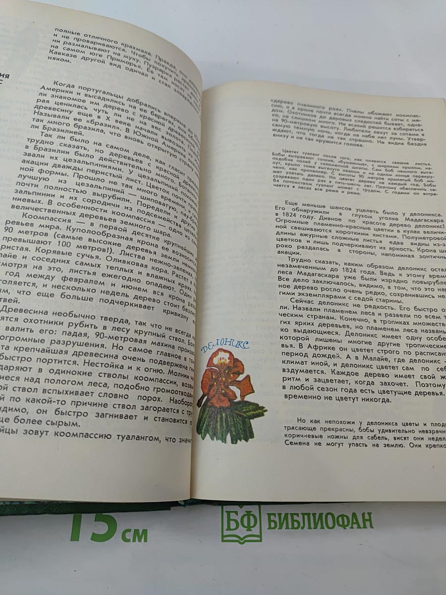 Мир растений