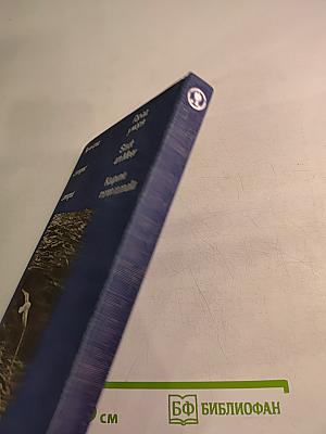 Ленинград Город у моря