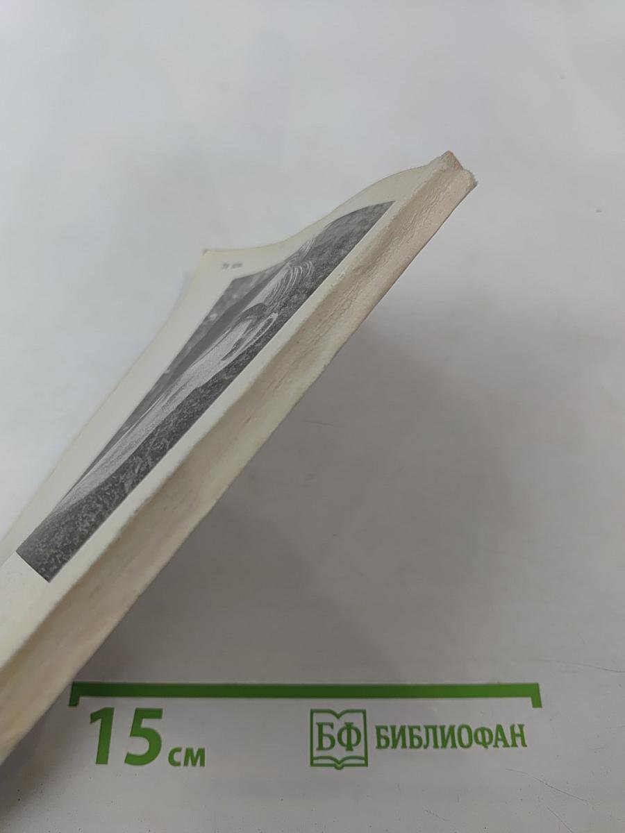 Мы с одного земного шара