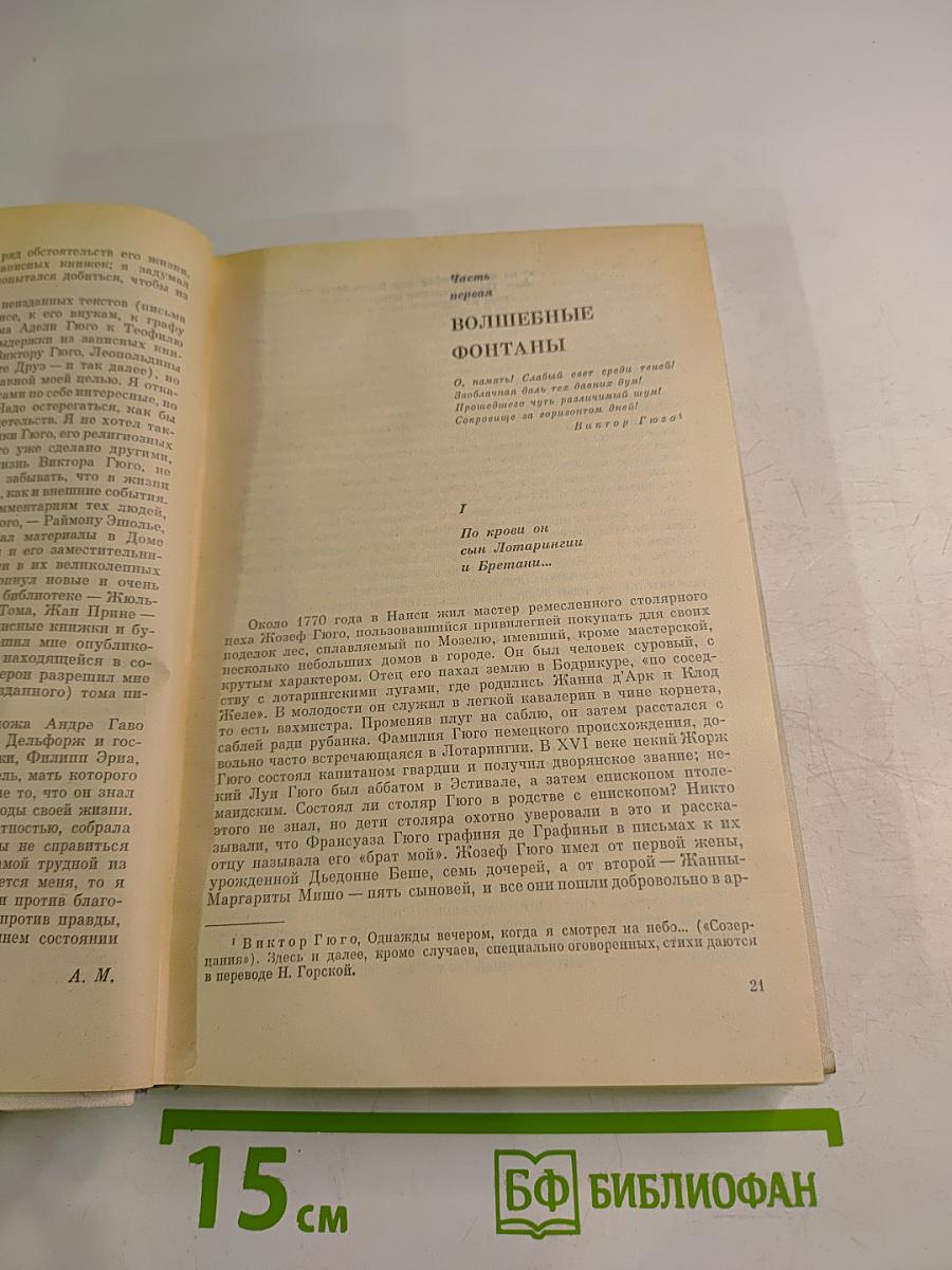 Олимпио или Жизнь Виктора Гюго