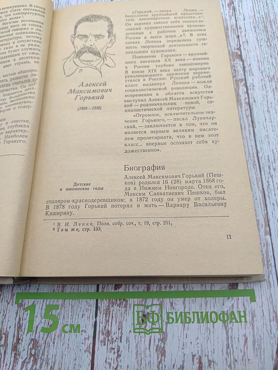 Русская советская литература для 10 класса средней школы