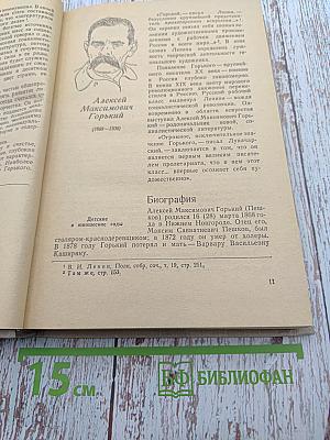 Русская советская литература для 10 класса средней школы