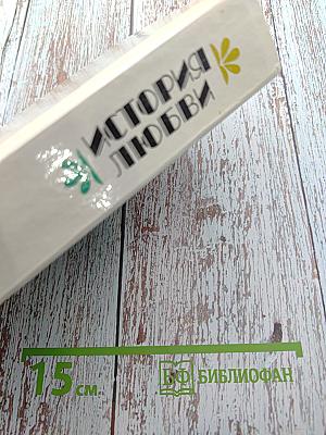 История любви. Американская повесть XX века