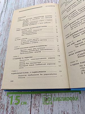 Джозеф Чемберлен и сыновья