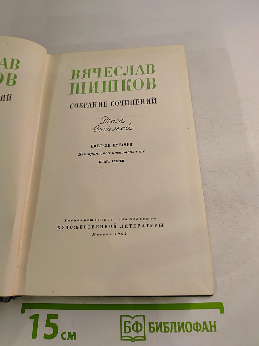 Емельян Пугачев. Историческое повествование. Книга третья
