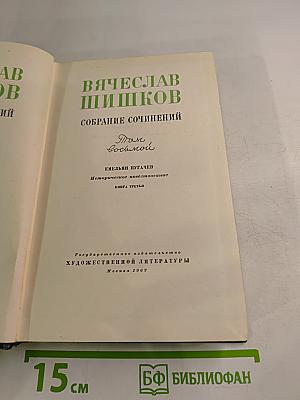 Емельян Пугачев. Историческое повествование. Книга третья