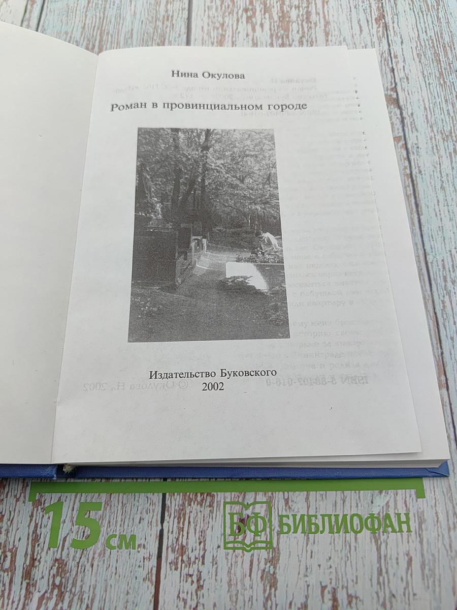 Роман в провинциальном городе