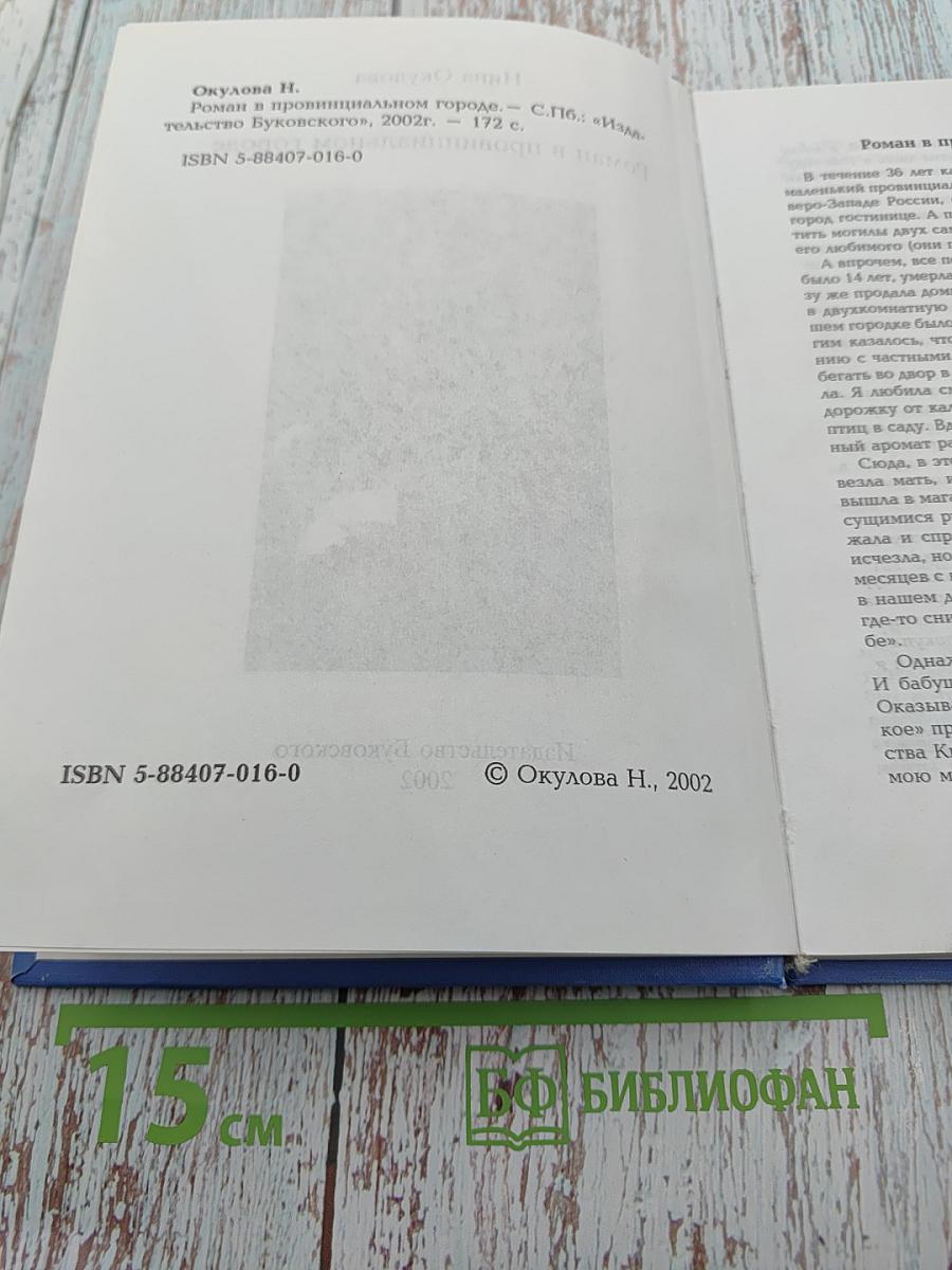 Роман в провинциальном городе
