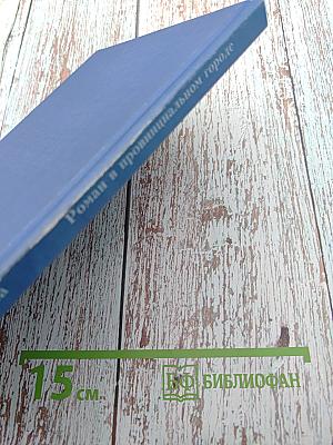 Роман в провинциальном городе