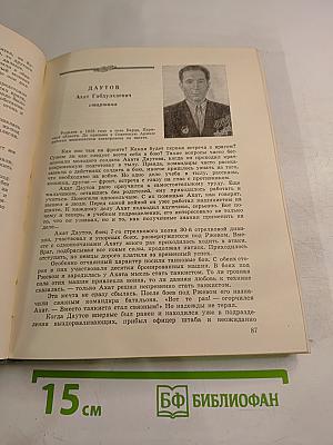 Солдатская Слава, книга вторая