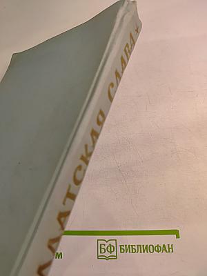Солдатская Слава, книга вторая