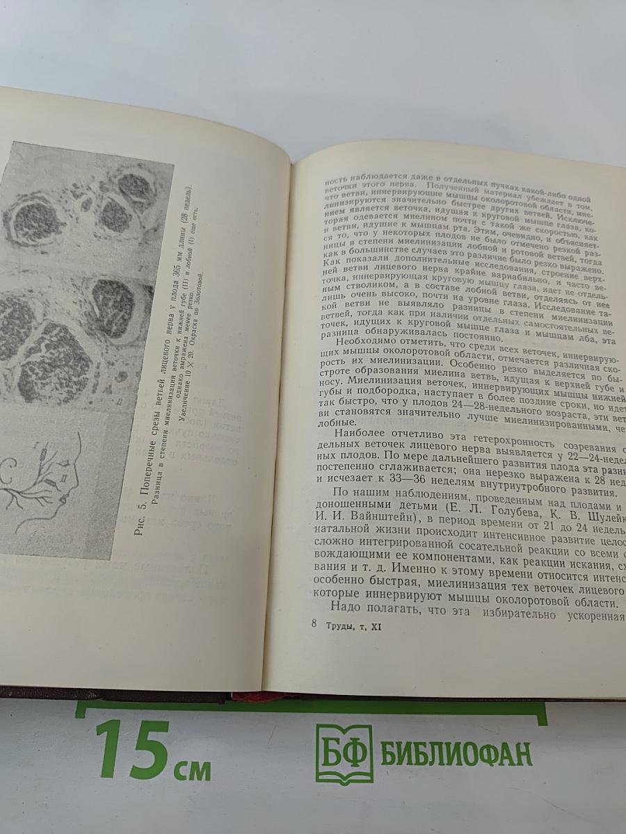 Проблемы общей нейрофизиологии и высшей нервной деятельности