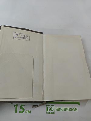 Земля добра и винограда