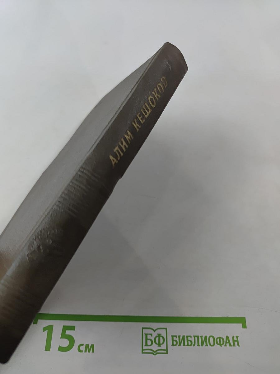 Земля добра и винограда