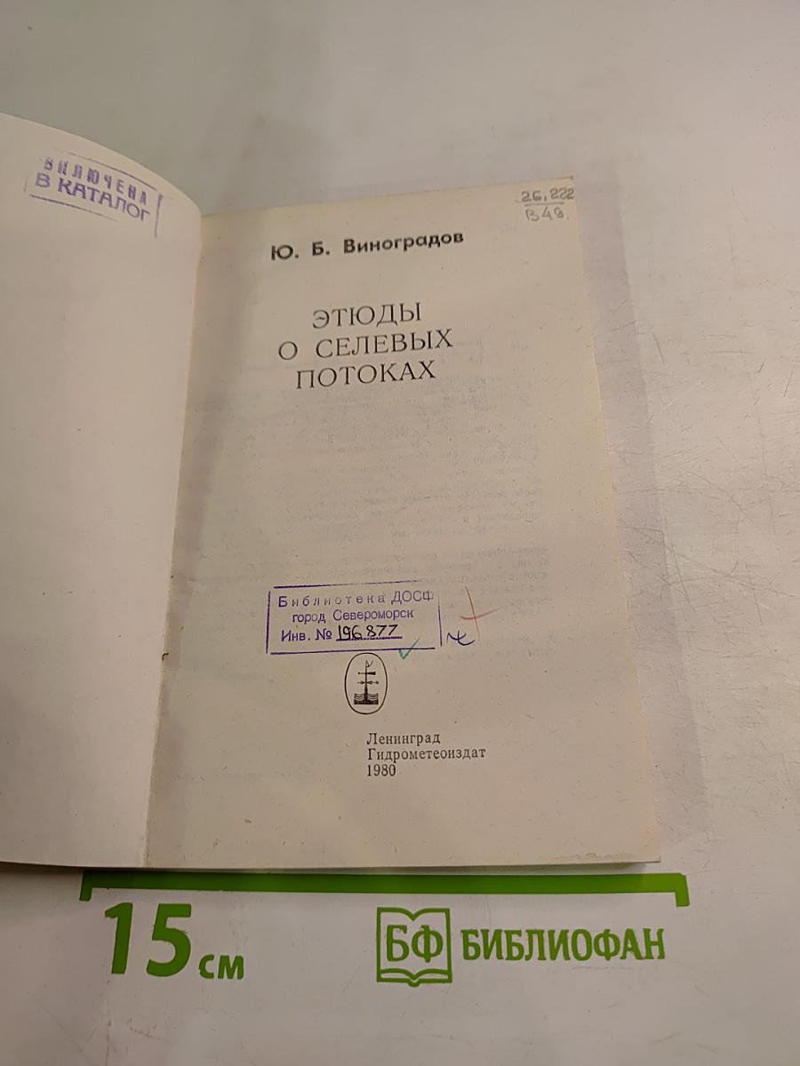 Этюды о селевых потоках