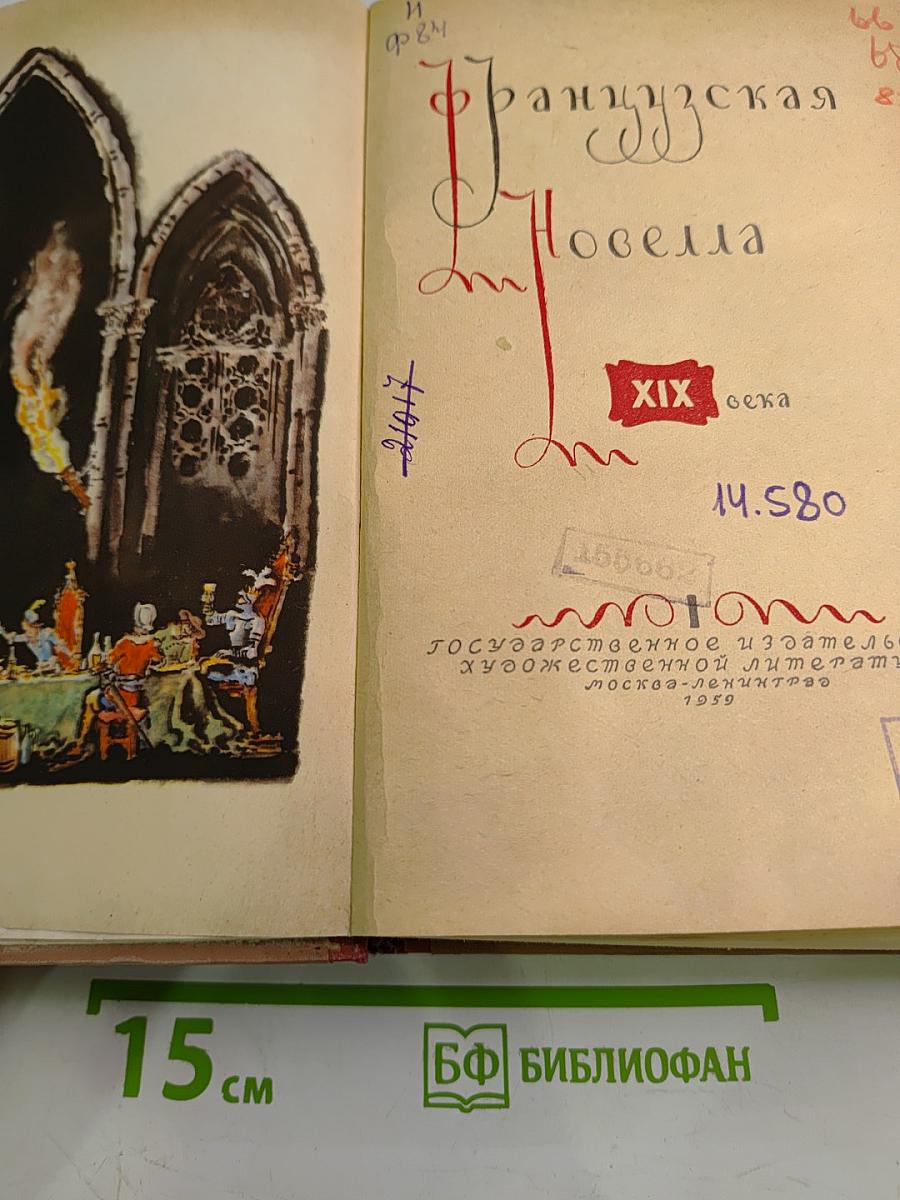 Французская новелла XIX века