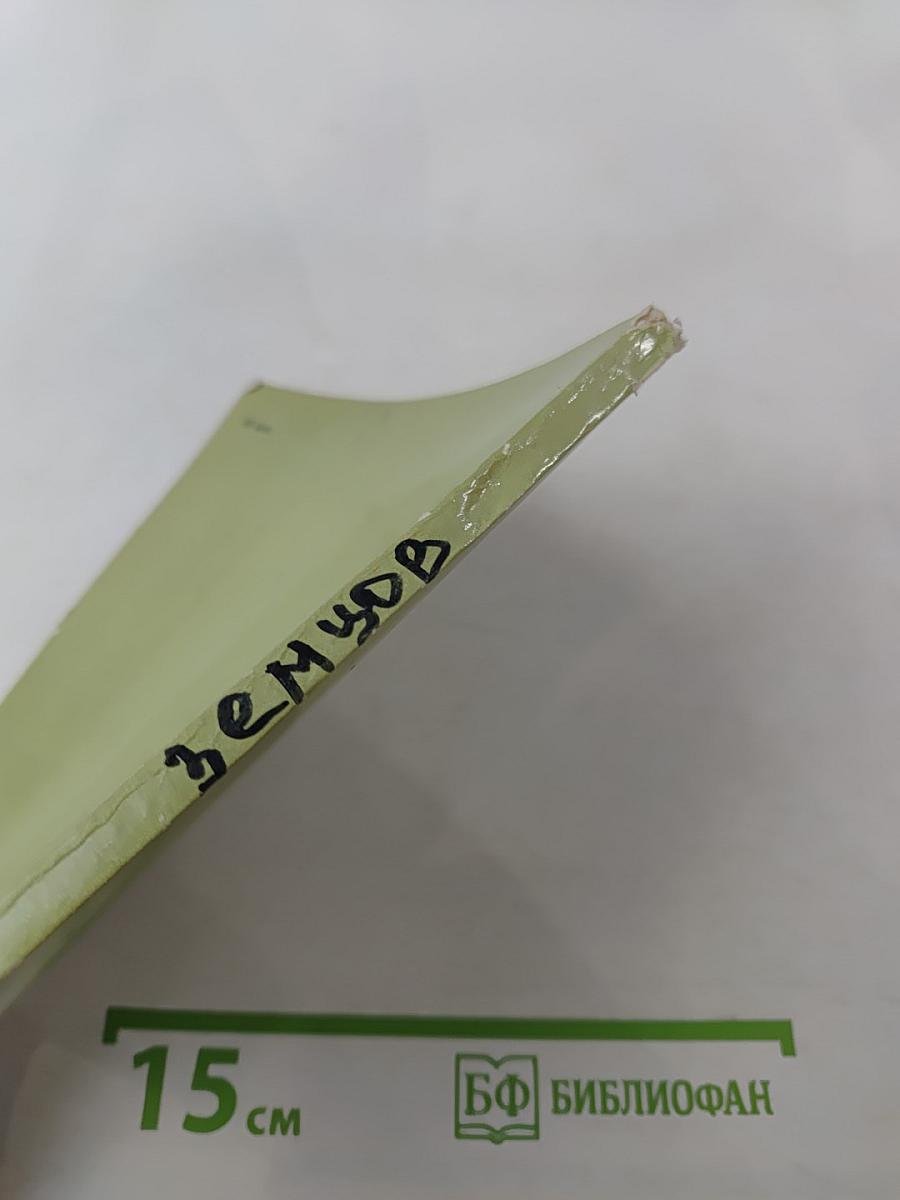 Михаил Земцов