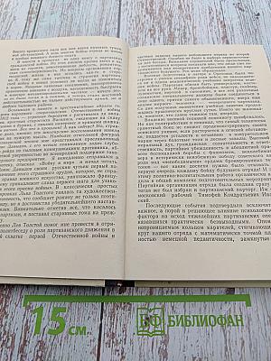 Партизанский фронт