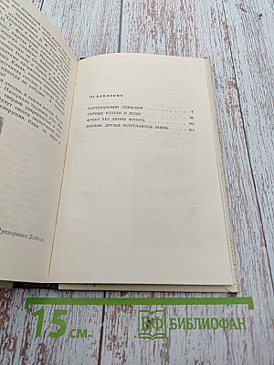 Партизанский фронт