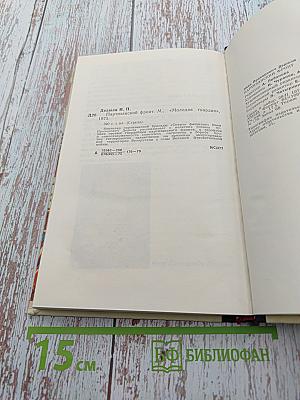 Партизанский фронт