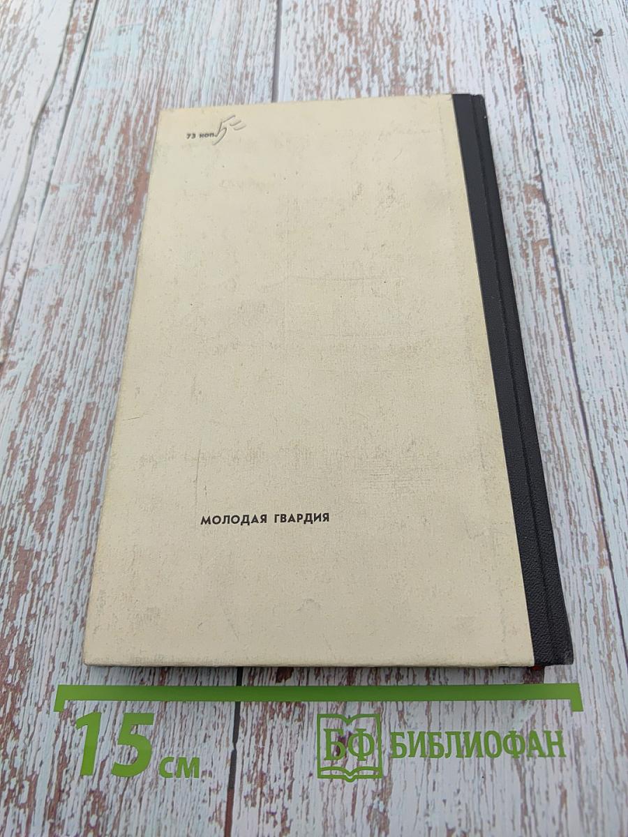 Партизанский фронт