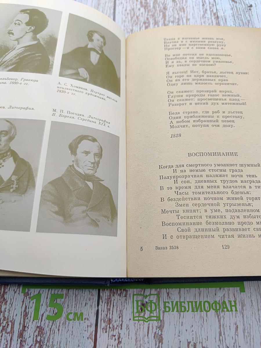 В Царстве Муз. Московский литературный салон Зинаиды Волконской 1824–1829 гг.