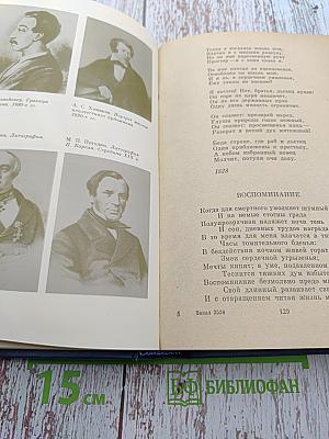 В Царстве Муз. Московский литературный салон Зинаиды Волконской 1824–1829 гг.