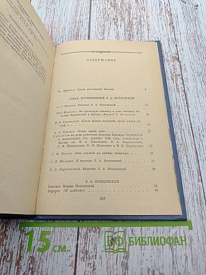 В Царстве Муз. Московский литературный салон Зинаиды Волконской 1824–1829 гг.